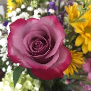 Meet your Posher, Lfc